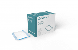 Evercare Absorbent Dressing Sterile - 10x20cm