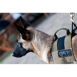 K9 Thorn Alpha Dog Harness