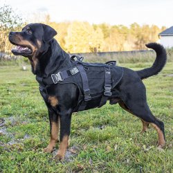 K9 Thorn Tactical Dog Vest