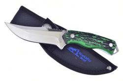 Blackhills Bloodhound Bowie