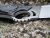 Midgards-Messer Munin V2