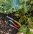 Opinel Garden Knife Kit 3 Pcs