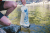 Katadyn BeFree Filter 3L