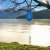 Lifestraw Mission 5L