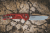 Extrema Ratio MF1 EVO D - Red Satin M390