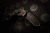 Extrema Ratio Nightmare - Svart