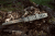Extrema Ratio Vipera HCS Nitrogen