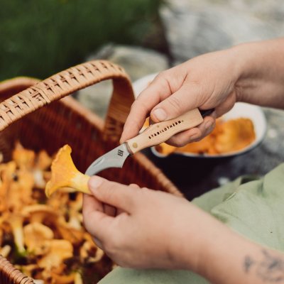 Stabilotherm Mushroom Knife with Brush
