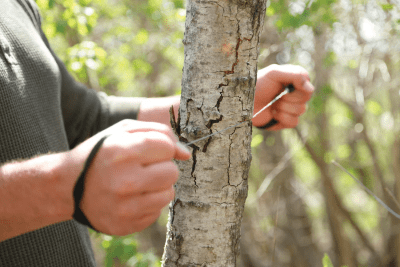 Coghlans Deluxe Pocket Saw