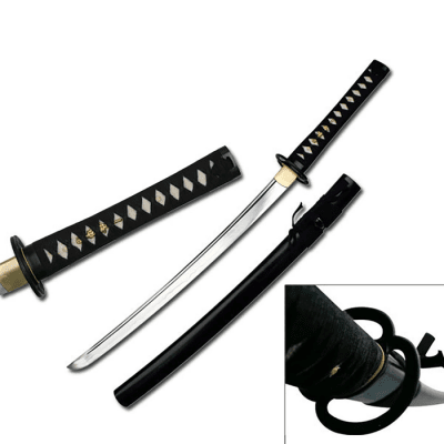 Ten Ryu Hand Forged Wakizashi with Cleaning Kit