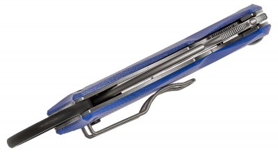 Bastinelli Fox Black Bird Trainer