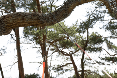 Nordic Pocket Saw - The Arborist V.2 Throw Saw