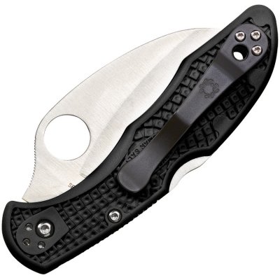Spyderco Tasman Salt 2 Lockback