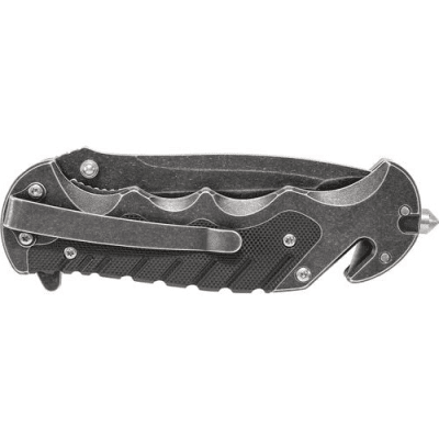 Smith & Wesson Border Guard SWBG10S