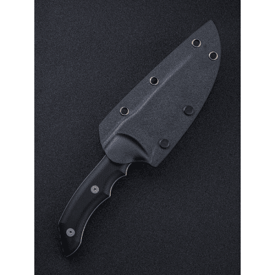 WE Knife Stonefish CPM-20CV