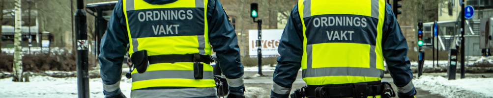 Swedish law enforcement